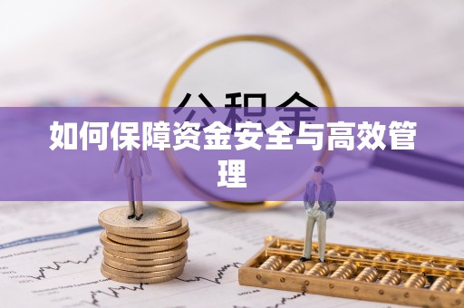 玉州如何保障资金安全与高效管理