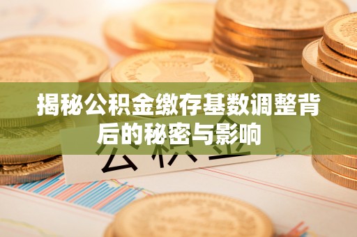 玉州揭秘公积金缴存基数调整背后的秘密与影响