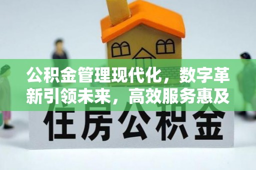 玉州公积金管理现代化，数字革新引领未来，高效服务惠及民生