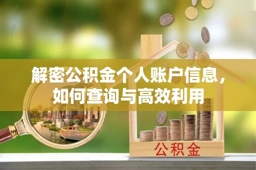 玉州解密公积金个人账户信息，如何查询与高效利用