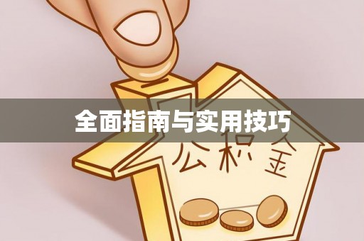 玉州全面指南与实用技巧