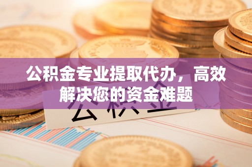 玉州公积金专业提取代办，高效解决您的资金难题