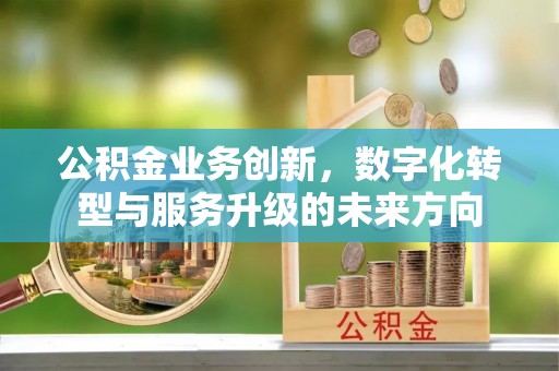 玉州公积金业务创新，数字化转型与服务升级的未来方向