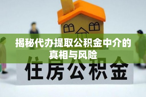 玉州揭秘代办提取公积金中介的真相与风险