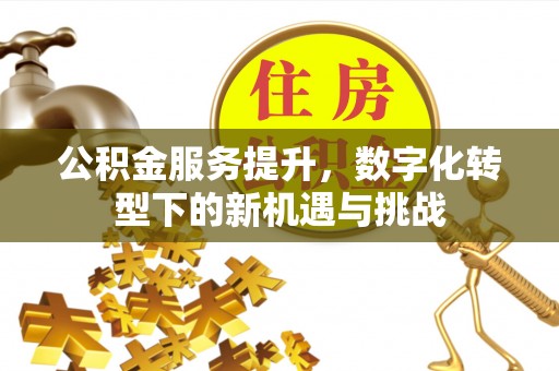玉州公积金服务提升，数字化转型下的新机遇与挑战