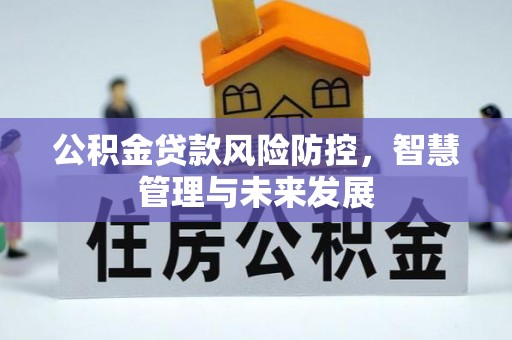 玉州公积金贷款风险防控，智慧管理与未来发展