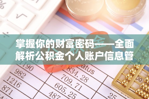 玉州掌握你的财富密码——全面解析公积金个人账户信息管理与优化
