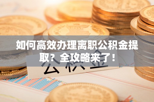 玉州如何高效办理离职公积金提取？全攻略来了！