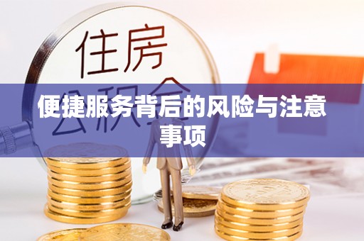 玉州便捷服务背后的风险与注意事项